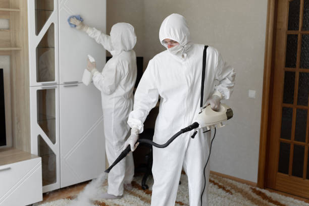 Best Residential Mold Removal  in Iraan, TX